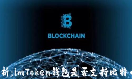 
深入解析：imToken钱包是否支持比特币存储？
