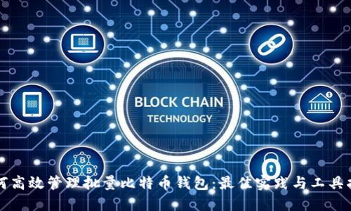 如何高效管理批量比特币钱包：最佳实践与工具指南